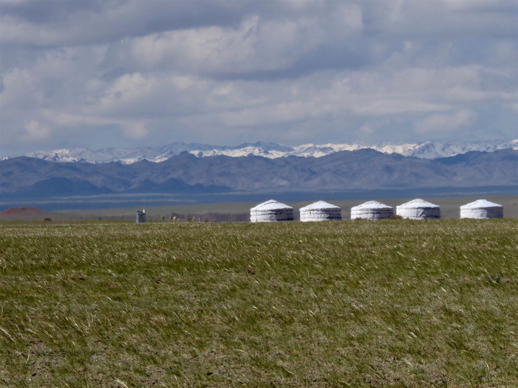 Mongolia: The Ultimate Travel Guide