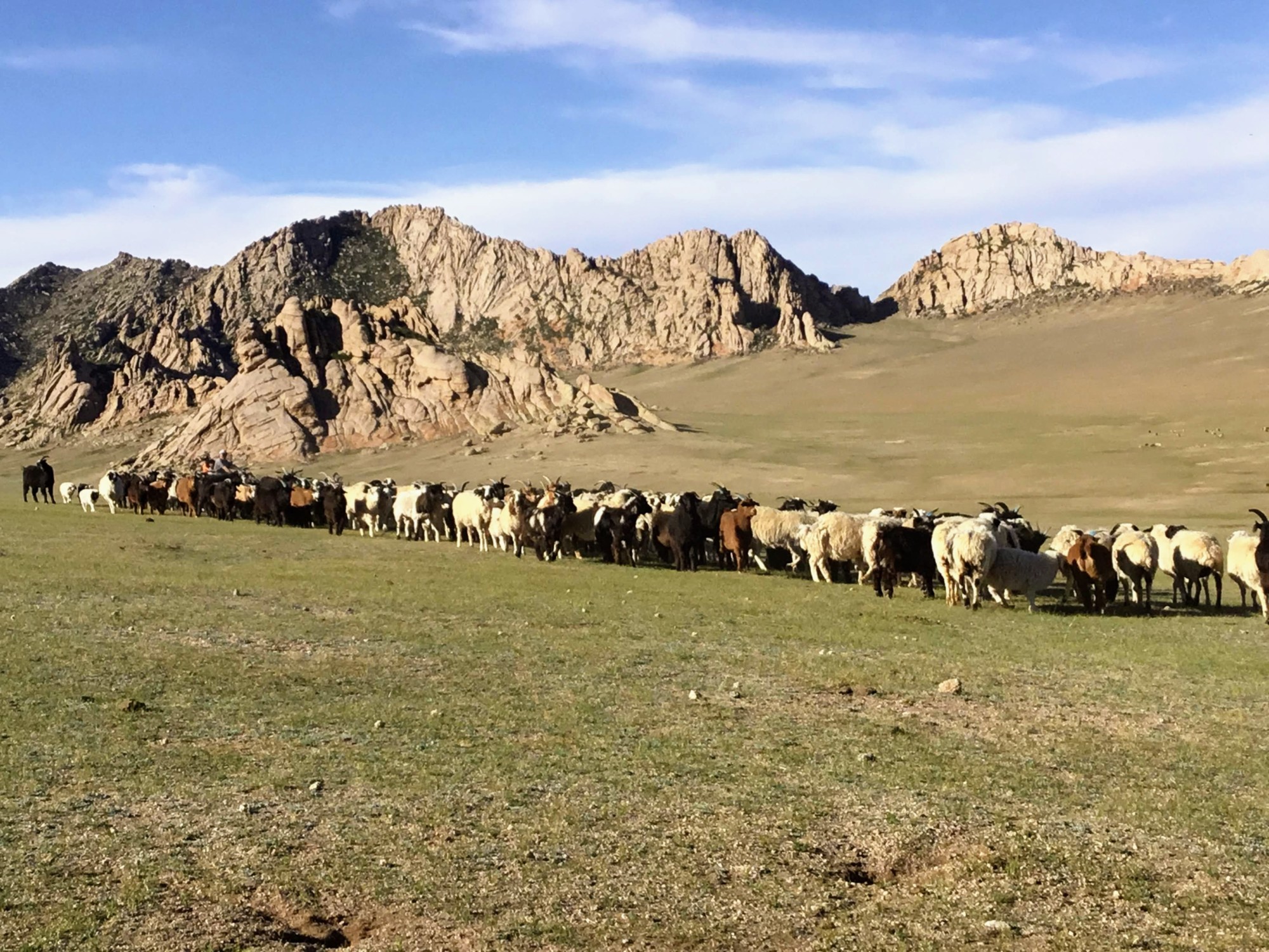Mongolia: The Ultimate Travel Guide