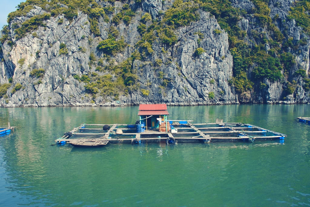 Vietnam: The Ultimate Travel Guide