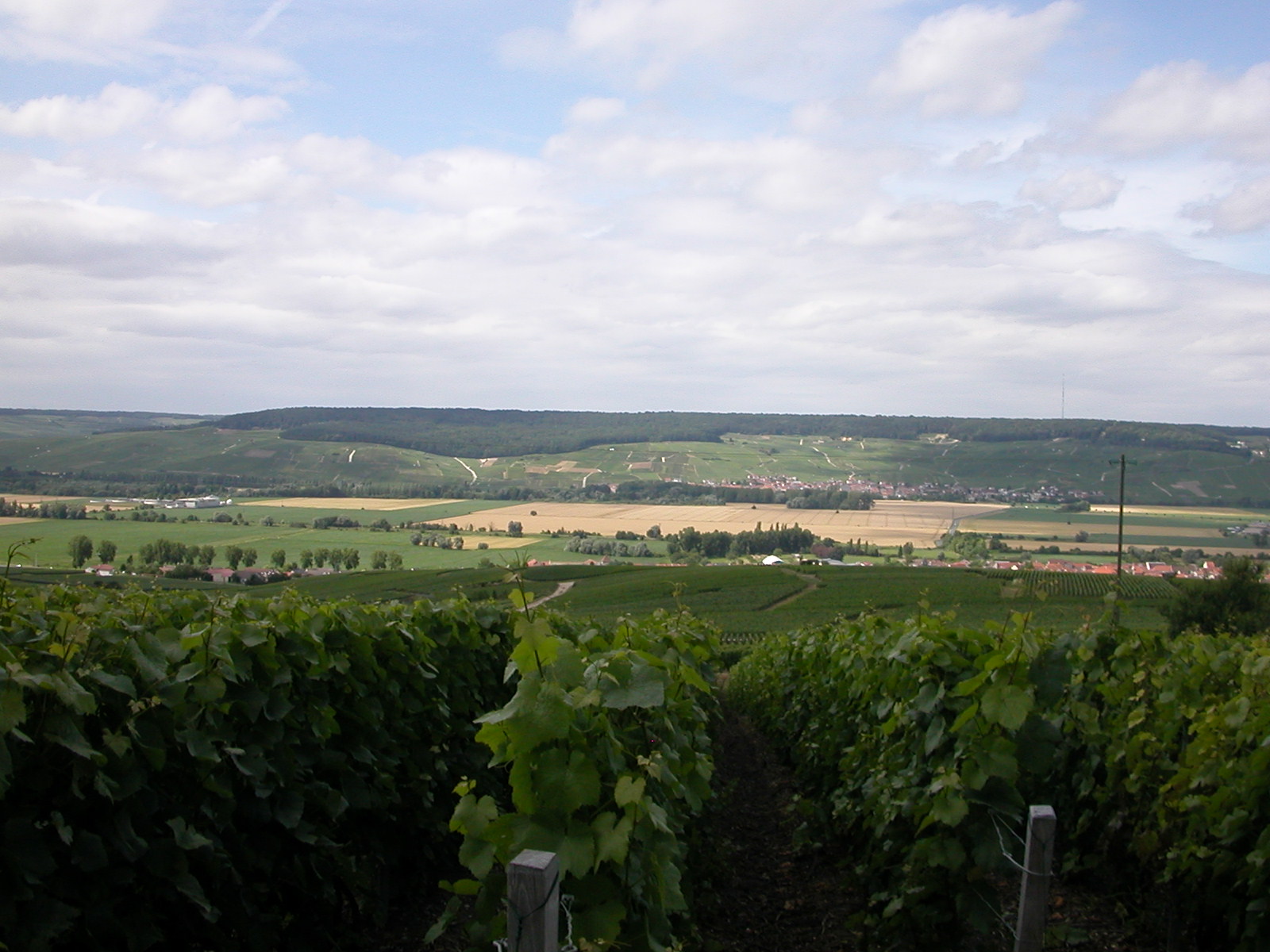 France Champagne: The Ultimate Guide