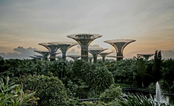 Singapore: The Ultimate Travel Guide