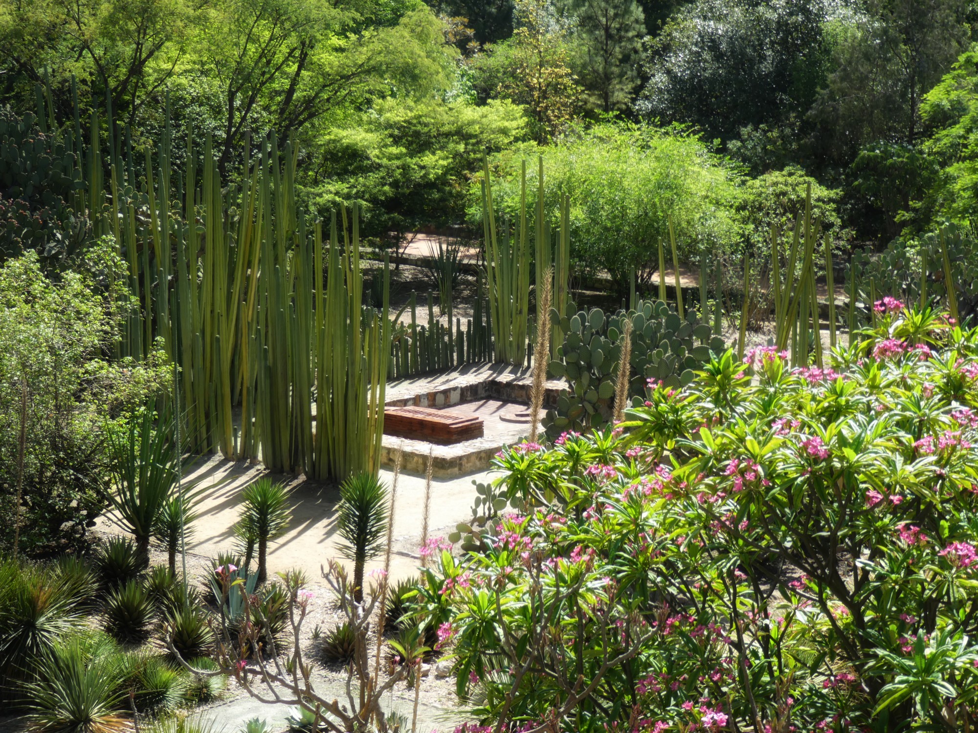 Oaxaca Gardens