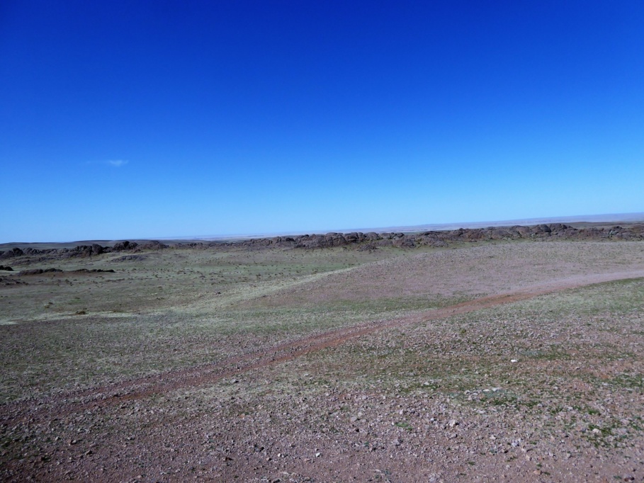 Gobi Track