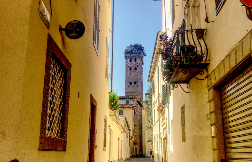 Lucca Italy Torre Guinigi