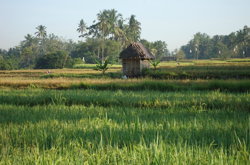 BaliDestinations1024