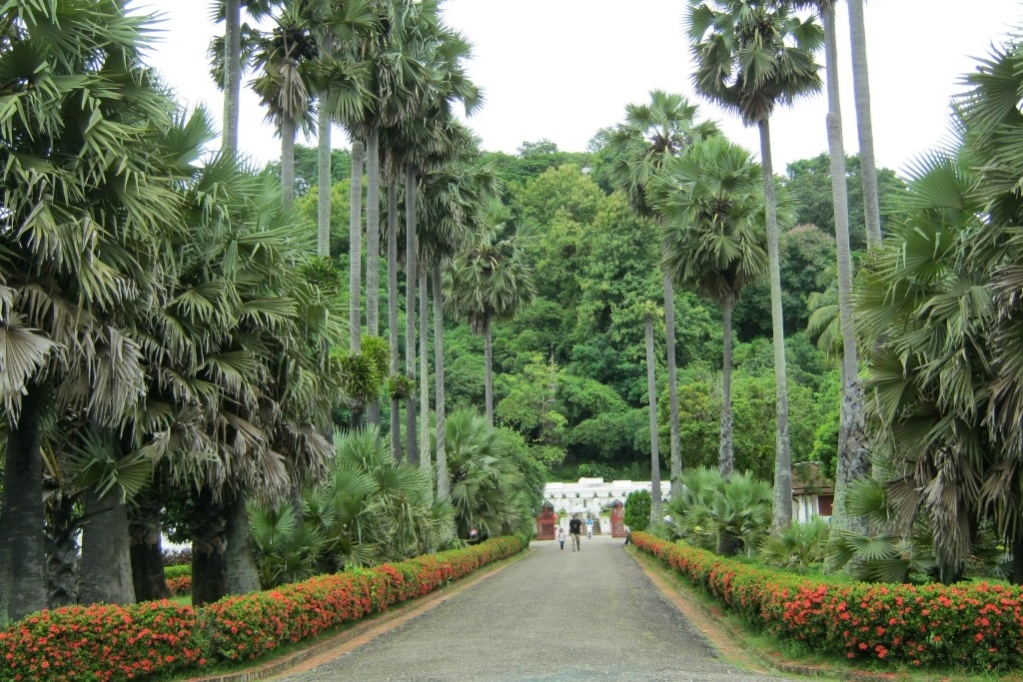 Laos