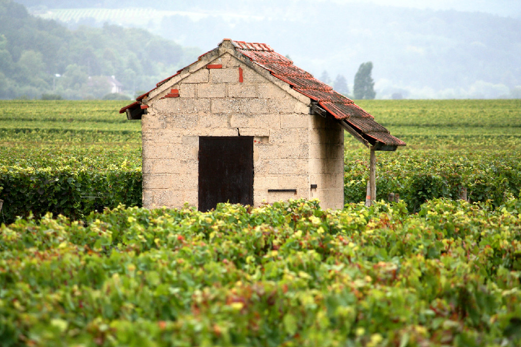 Burgundy Franche - Comte France Travel Guide