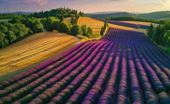 Provence France: The Ultimate Travel Guide