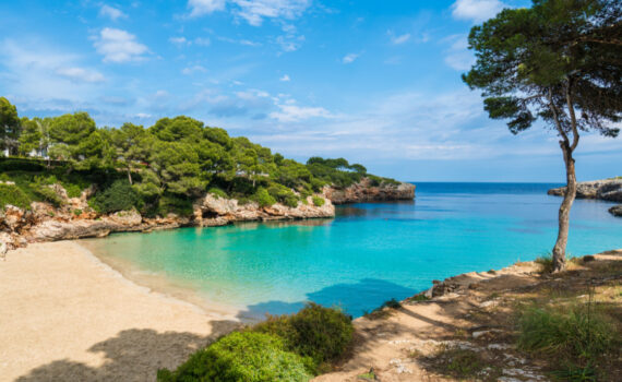 Spain Mallorca: The Ultimate Travel Guide