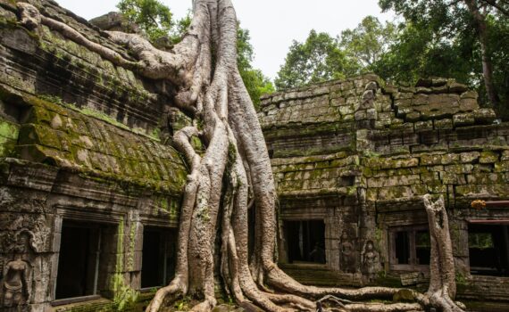 Cambodia: The Ultimate Travel Guide